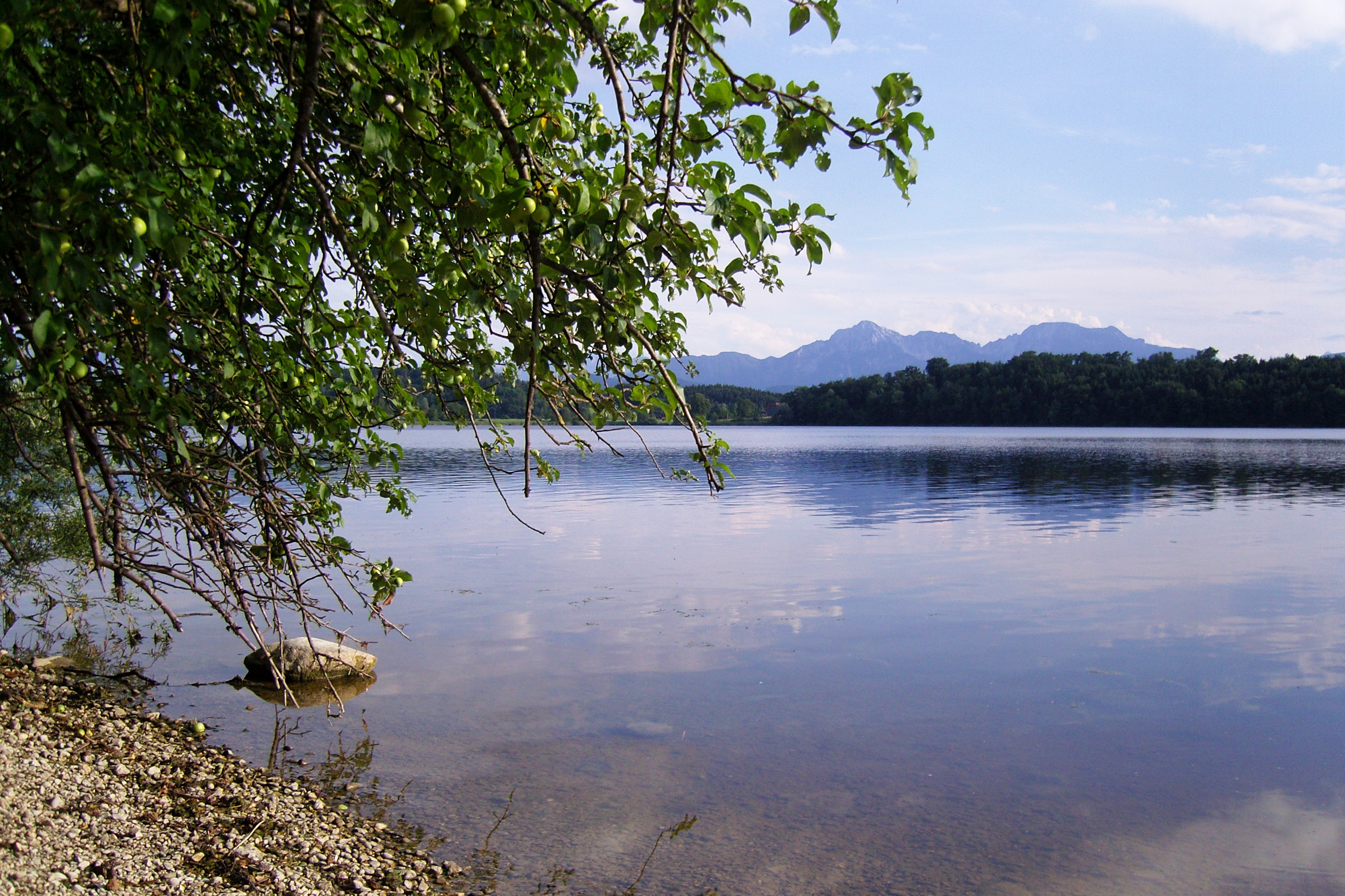 Abtsdorfer See 